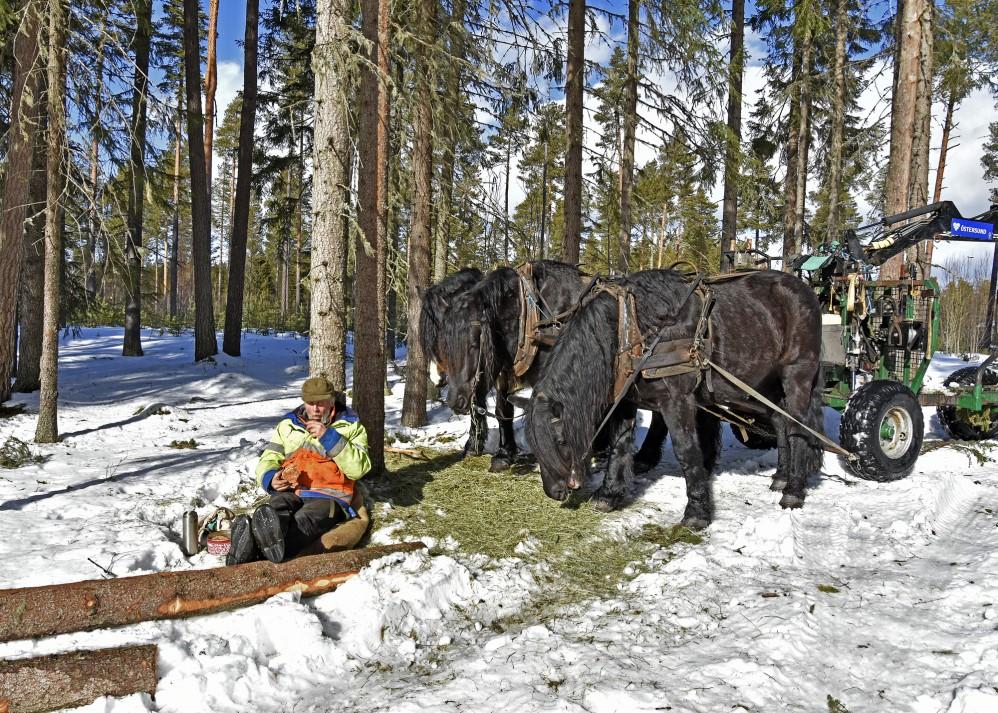 Så var det det vanliga tjatet om utställningsbilder, vi behöver massor av bilder till vår utställning i fiket på ABF A4 med passepartout även A3 på