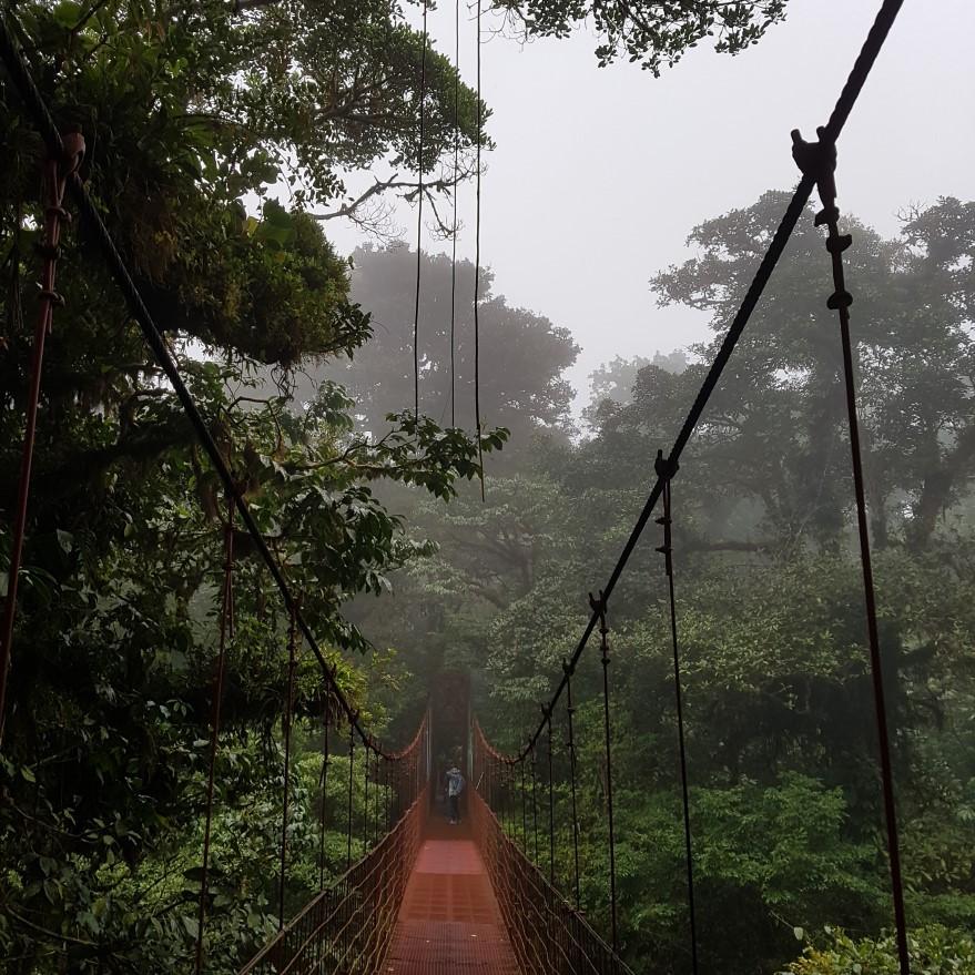 Monteverde, Costa