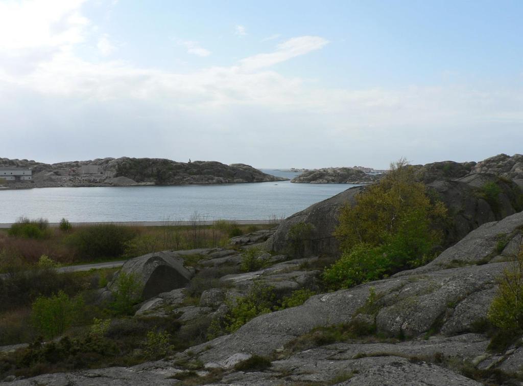 Tjörns kommun Miljökonsekvensbeskrivning för