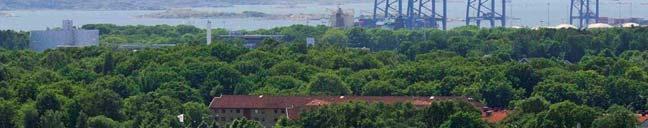 Hamn