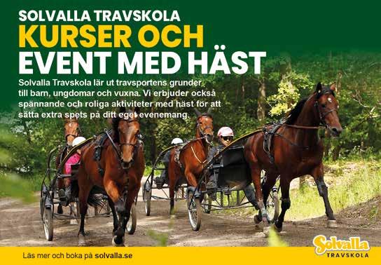 Defilering: 7.0 V5- TRIO TVILLING VINNARE PLATS SOLVALLA // 05 STL Klass II, Final 0 M AUTOSTART -åriga och äldre. Körsvenskrav kat.. 0 m. Autostart. Pris: 50.000-5.000-6.500-.500-8.500-.000-7.