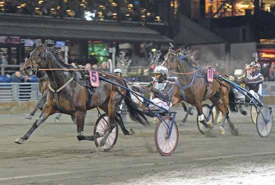 Defilering: 8.5 DD- V5-5 V- TRIO TVILLING VINNARE PLATS SOLVALLA // 05 Konung Carl XVI Gustafs Silverhäst - STL Gulddivisionen, Final (Gr II Int) 0 M AUTOSTART -åriga och äldre. Körsvenskrav kat.. 0 m.