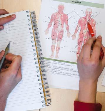 Aktivitetsledarskap 100 Kost och Hälsa 100 Svenska 3/Svenska som andraspråk 3 100 + + NIU 600 Naturkunskap 2 100 Aktivitetsledarskap 100 Kost och Hälsa 100 Svenska 3/Svenska