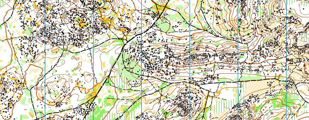 Terrängen i Fontainebleau är flack med inslag av backar ofta formade som långa åsar. Mycket detaljerad främst när det kommer till småskuren trasig mark samt sten, klippor och sten.