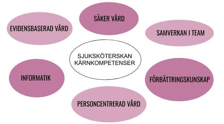 Bild 1: Sjuksköterskans kärnkompetenser.