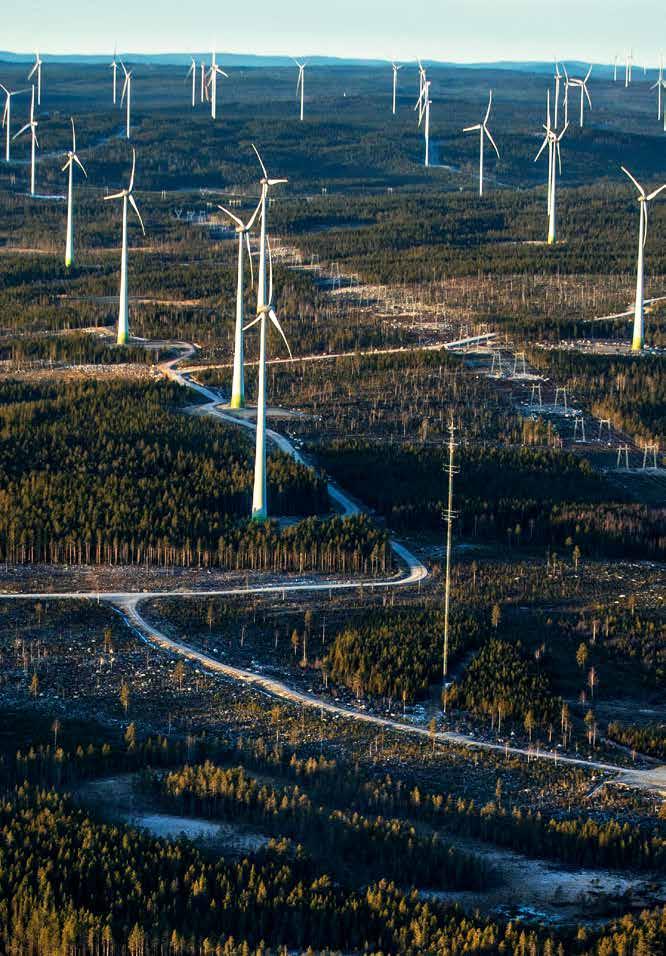 Innehåll 1. Vd har ordet 3 2. Sammanfattning 4 3. Sveriges storskaliga gröna näring 8 3.1 Långsiktiga spelregler främjar investeringsklimatet 8 3.2 Elektrifiering el inom nya användningsområden 9 3.