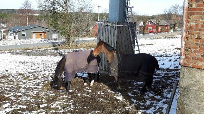 H1 och N1 (2.6 m höjd) N3 (1,5 m höjd) Figur 4 