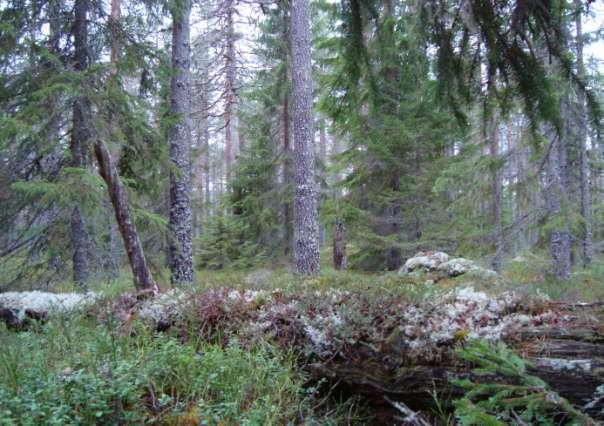 skyddsvärda miljön.