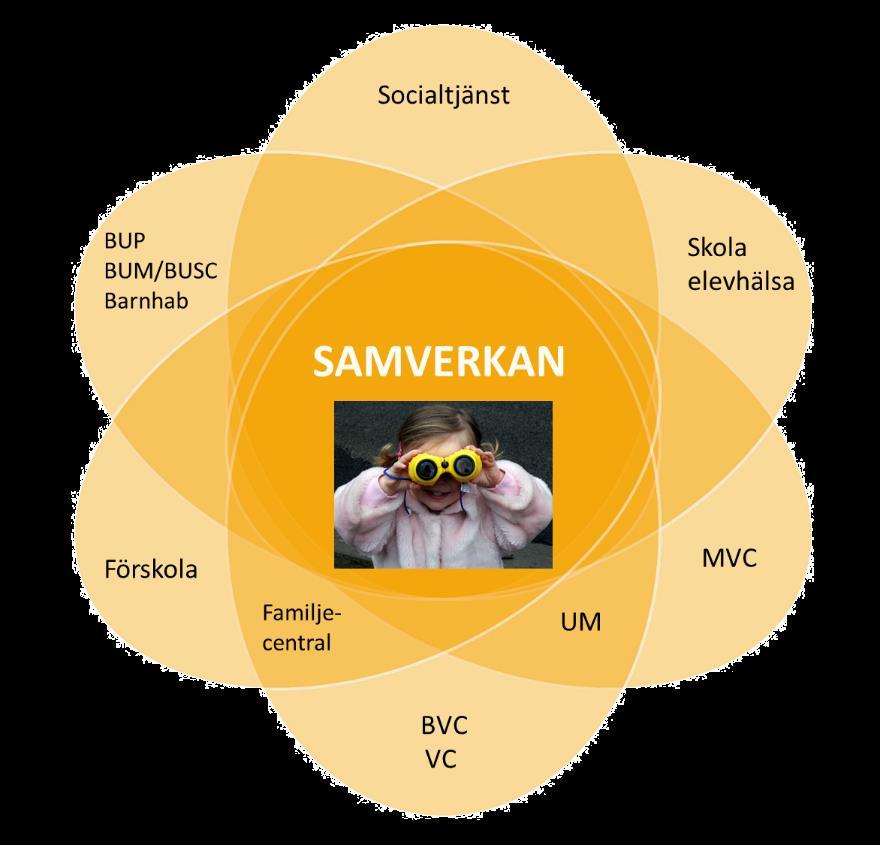 Samverkan ska