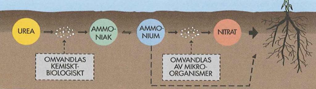 nr hänvisar till Föreskrifter