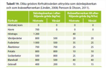 Förfruktseffekt vad är det?