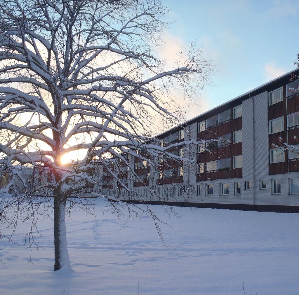 2017 Årsredovisning