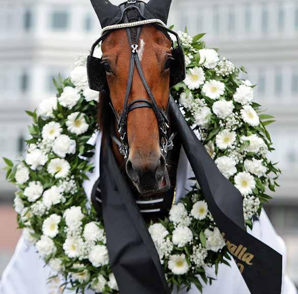 SOLVALLA Nr 69/09 Pris