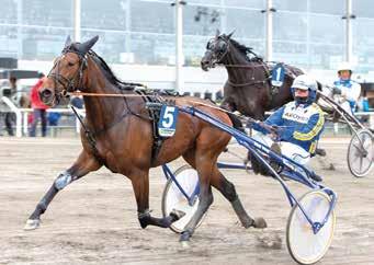 Defilering: 8:08 EXTRA BILPROVSTART MIN INNAN START TRIO TVILLING VINNARE PLATS SOLVALLA // 0 Uttagningslopp Breeders Course years old 09 60 M AUTOSTART -åriga. Körsvenskrav kat.. 60 m. Autostart.