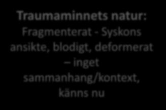Traumaminnets natur: Fragmenterat -