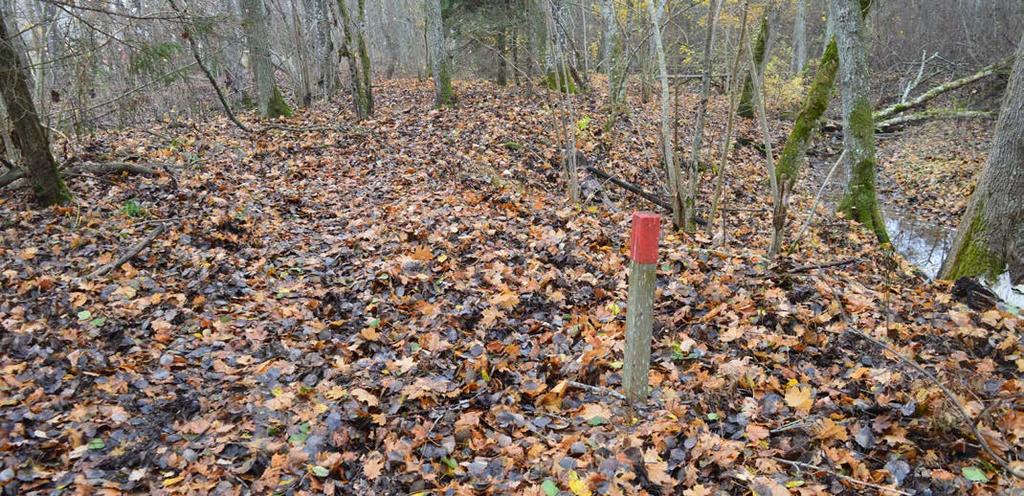 Vägen till äventyrsbanan från parkeringen Från parkeringen följer du grusvägen fram till naturskolan.