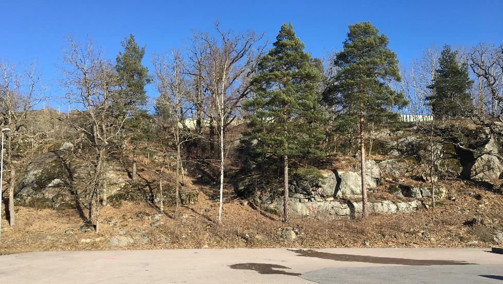 4.1.3 Känslighetsanalys För att verifiera hur stor inverkan gjorda antaganden har på resultatet av beräkningarna för vägen genomförs känslighetsanalyser.