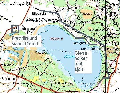 24 Revinge (sydvästra Skåne) Startår 1981. Detta startår avser föreliggande projekt. Holkarna fanns och kontrollerades långt tidigare av Johnny Karlsson inom ramen för ett tidigare OECD-projekt.