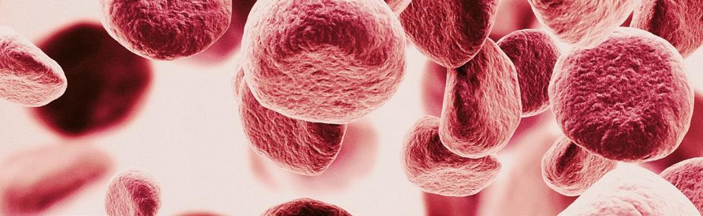 FÖR YTTERLIGARE INFORMATION, VÄNLIGEN KONTAKTA: Jamal El-Mosleh, VD Grafiska Vägen 2 412 63 Göteborg 031-41 50 52 info@immunicum.