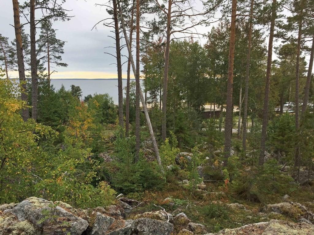 UPPDRAGSNUMMER 1834 GEOTEKNISKT UTLÅTANDE FÖR VILLAOMRÅDE ALNÖ-NYSÄTER 3:6 GEOHJÄLP AB MARIA ÅSTRÖM GEOHJÄLP