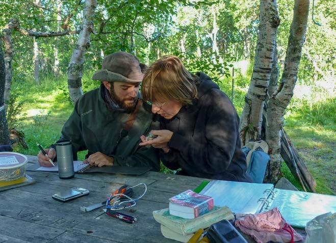 normalt till havs i Atlanten. BÖRJADE FLYTTA I STILLA HAVET?