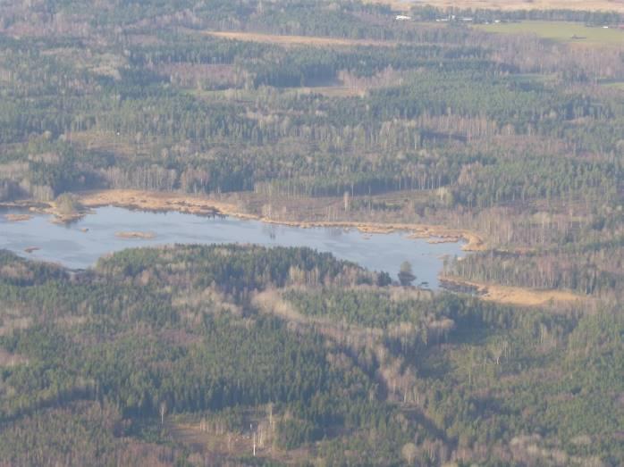 Skogslandskapet främst i Hillesjön