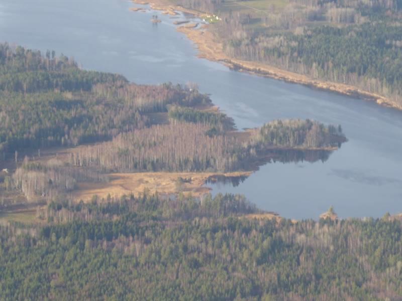 Lövskogen kring Hillesjön är värdefull för bl.a. hackspettarna.