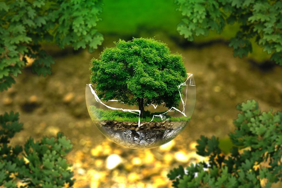 3.9 Ekologisk hållbarhet Ekologisk hållbarhet är ett mångtydigt begrepp med många olika definitioner.