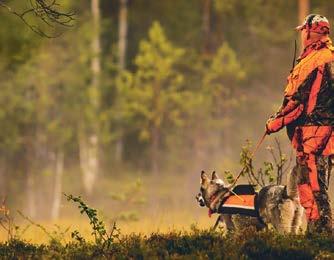 Kvällen bjuder på företagsmässa, trerättersmiddag, underhållning