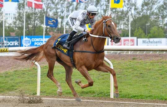 I årsdebuten blev man slagen tvåa bakom stallkamraten Reine de Vega (e Lope de Vega). Wido Neuroth tränar och i sadeln hittar vi gersrospecialisten Jan-Erik Neuroth.