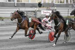 Scuderia Achillea. Uppf. Sisyfos Breeders AB, Sigtuna. Trän. Haapakangas Mika, Umeå. Så gick loppet till: Gogobet Sisu (Jonny Länsimäki/Mika Haapakangas) tog hem försök av Umåker Cup.