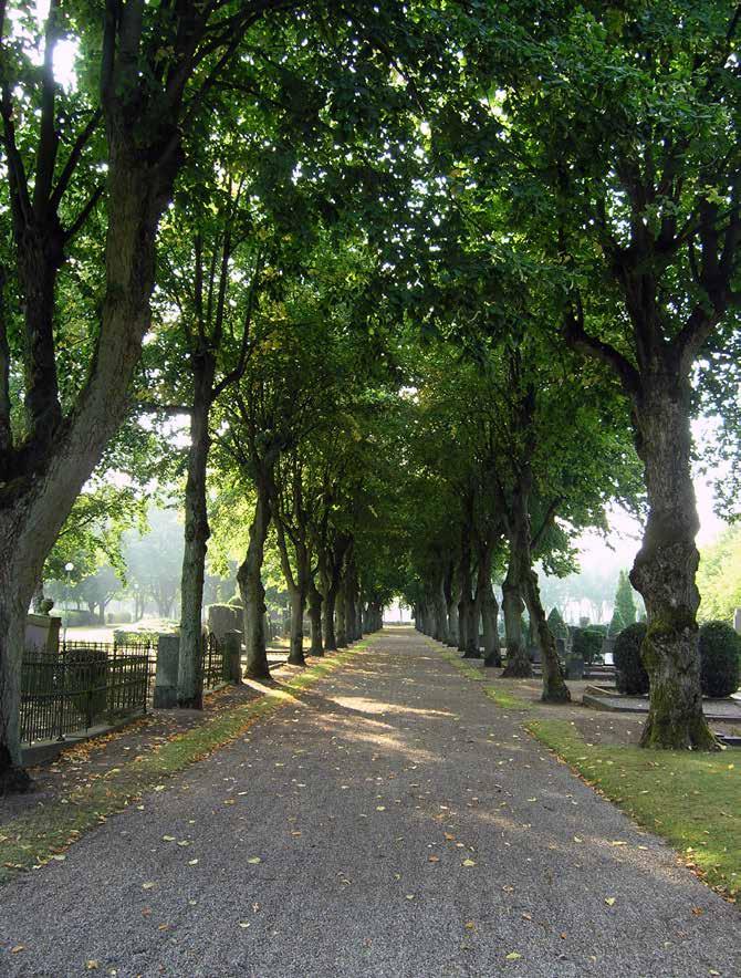 Vägar till skånska kyrkogårdar