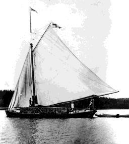 Alcea piggskuta, byggd på Svartlöga 1886 av en skeppare Vesterman och inköptes 1888 för 1900:- av Gustaf Johansson i Österåker.