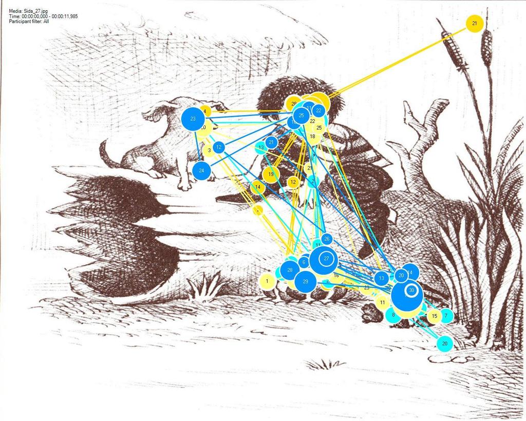 Figur 4 - De två blå kulörerna markerar ögonrörelsemönstret hos försöksdeltagare som använt få MY:n. De två gula markerar ögonrörelsemönstret hos försöksdeltagare som använt många MY:n.