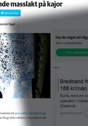 deras överna ning i staden orsakat