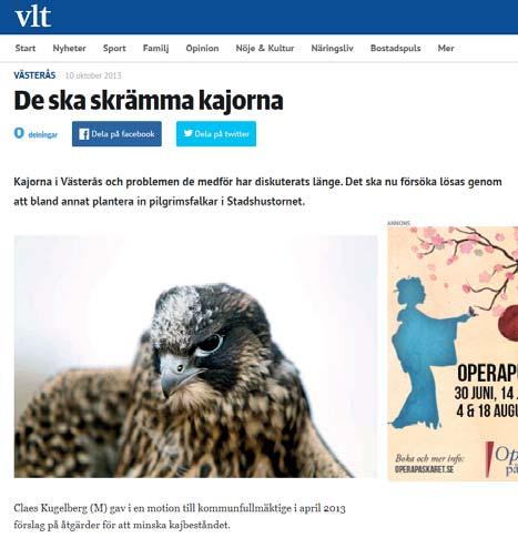 Västerås som innebar a fåglar och