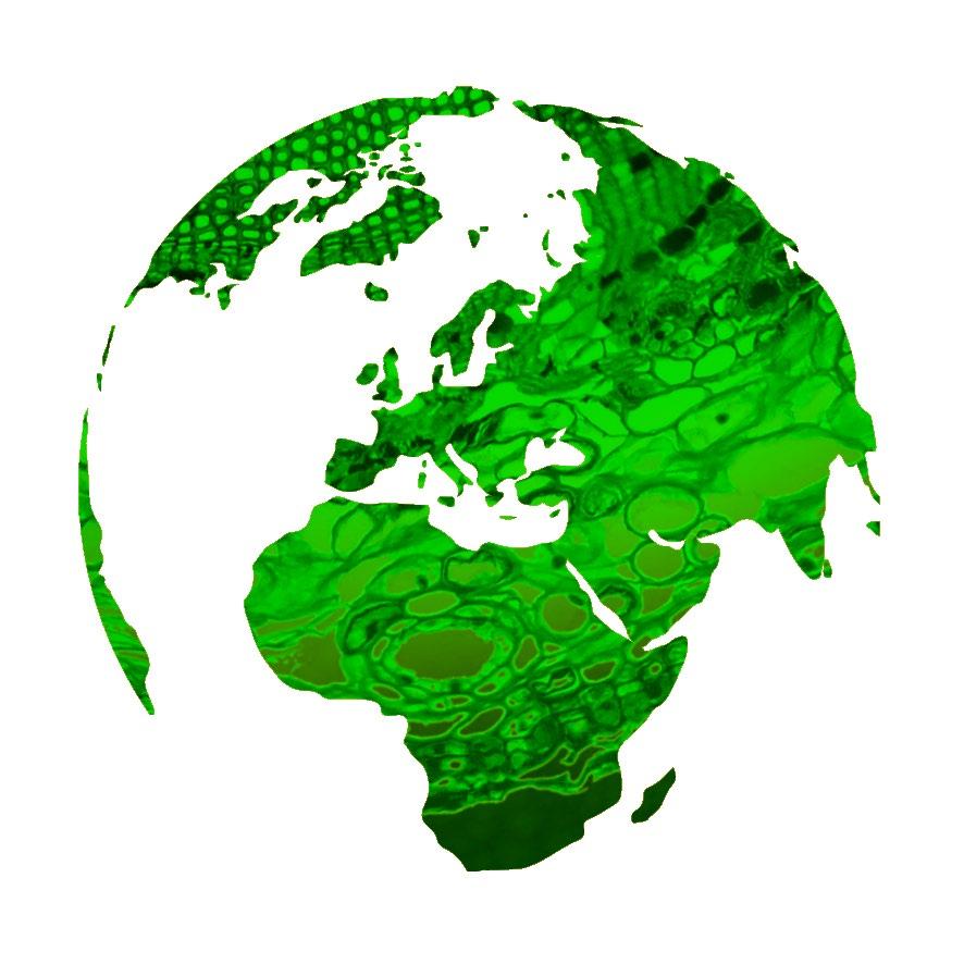 Liten utbildningsvolym, stor övrig verksamhet (ffa forskning) 10000000 9000000 8000000 7000000 6000000 5000000 4000000 3000000 2000000