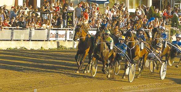 Romme Telefon 0-00 www.dalatravet.se info@dalatravet.se 0, MHz KVAL OB! INET PEL I DETTA KVALER VARMBLOD.,0 - -åriga.,0 - -åriga.,0 - -åriga & äldre.