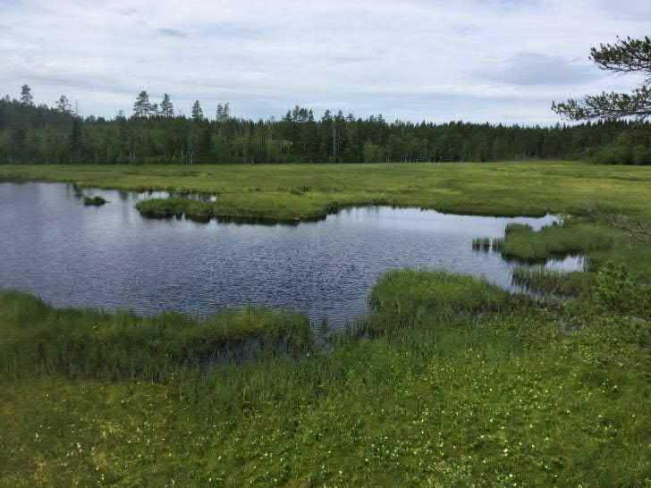 Området angränsar och innefattar delar av tätorten Bygdeå. 4. Skogslandskap mellan Bygdeå och Robertsfors Sammanhängande skogsområden uppbrutna av våtmarker och mindre sjöar, se figur 3.5-2. 5.