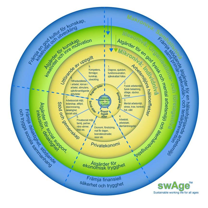 Undersökningar har visat att swage-modellen är ett signifikant verktyg att använda som underlag för en gemensam bild över komplexiteten i arbetslivet och i den kritiska reflektionen, diskussionen och