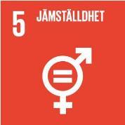 Bild 3 Mål 5: Jämställdhet Mål 5: Jämställdhet Uppnå jämställdhet och alla kvinnors och flickors egenmakt Kvinnor och mäns rätt till lika möjligheter, rättigheter och skyldigheter Rättvis fördelning
