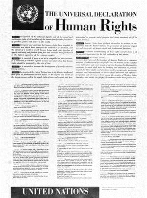 Bild 6 FN:s allmänna förklaring om de mänskliga rättigheterna Bild 6: FN:s allmänna förklaring om de mänskliga rättigheterna.