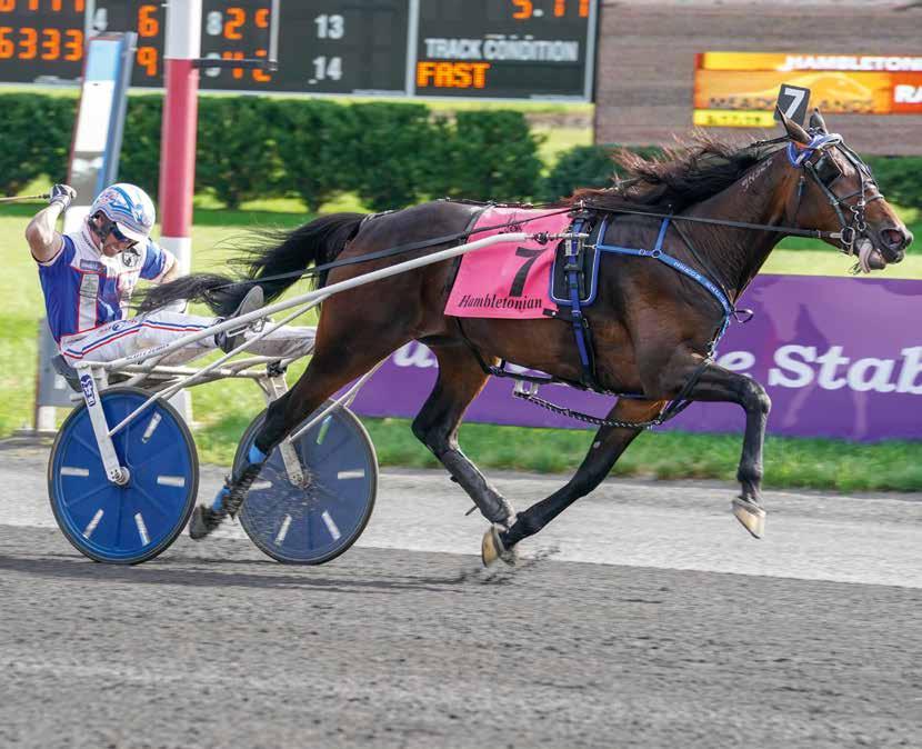 UNGHÄSTAR TRAVHÄSTEN Hemi Blue Chip har lämnat två föl till och tvååringen efter Muscle Massive har startat två gånger. Hon har även en ettåring efter Muscle Hill.