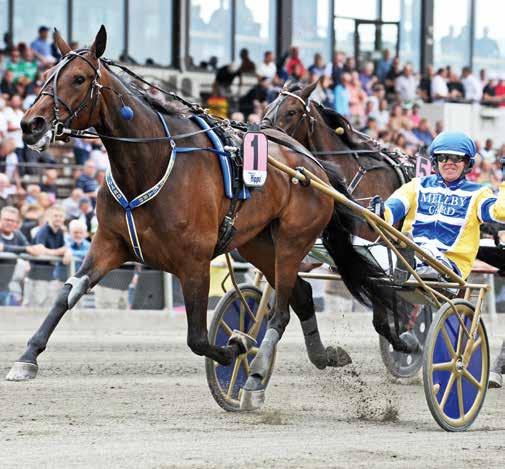 Elitloppssöndagen Det blev som vanligt en dag där de fina prestationerna avlöste varandra, även om det första försöket till Elitloppet föregicks av en hel del strul mycket på grund av flera olyckliga