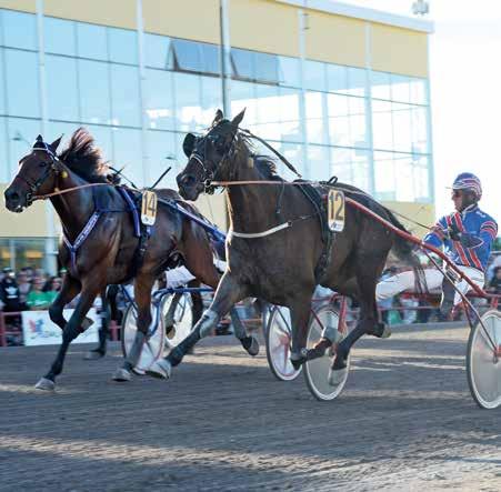 TRAVHÄSTEN SOMMARSVEPET segrade i loppet 2016. Treåringsloppet Premio Going Kronos fick en italienfödd segrare när Zeus Bi (e. Donato Hanover Las Brisas Bi e. Toss Out) vann på 1.11,1a/1609m.