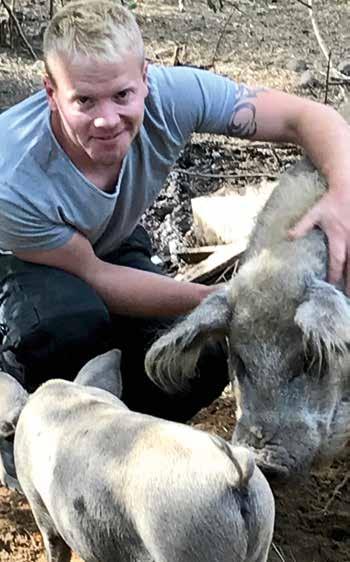 TRAVHÄSTEN UPPFÖDARPROFILEN Hobby vid sidan av. David älskar sina grisar galten är en ungersk ullgris och suggan en korsning mellan duroc och pigham gris.