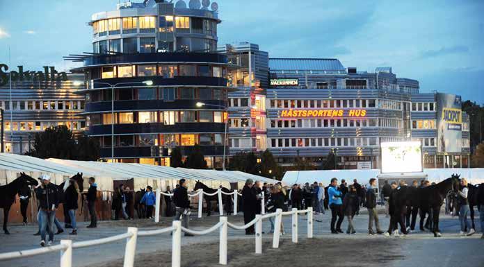 TRAVHÄSTEN TROTTEX INFORMERAR Här ser vi auktionsområdet på Solvalla där Kriterieauktionen återigen arrangeras.