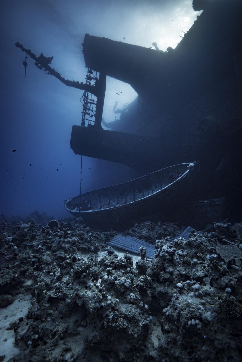 Robban Hansson LIVEABOARD RÖDA HAVET Upplev rutten North & Brothers. Denna rutt består av otroliga dyk längs med väggar som täcks av mjuka koraller samt skogar av gorgonier.