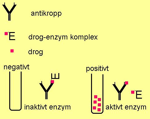 Immunokemisk screening