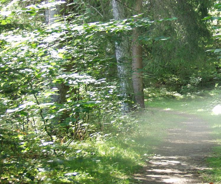 6. Miljöbedömning Enligt miljöbalken krävs en miljöbedömning för planer och program som kan antas medföra betydande miljöpåverkan.